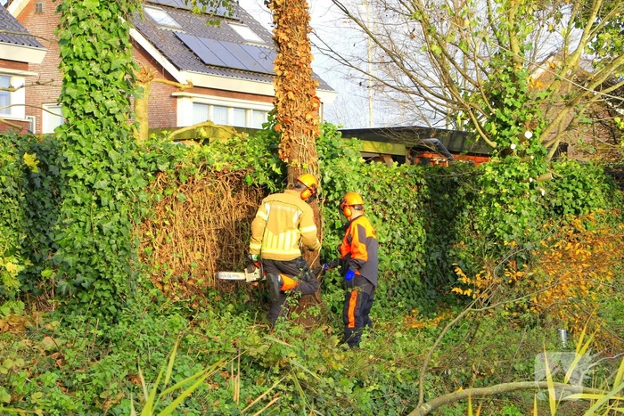 Omtrekken boom gaat verkeerd en valt op pergola