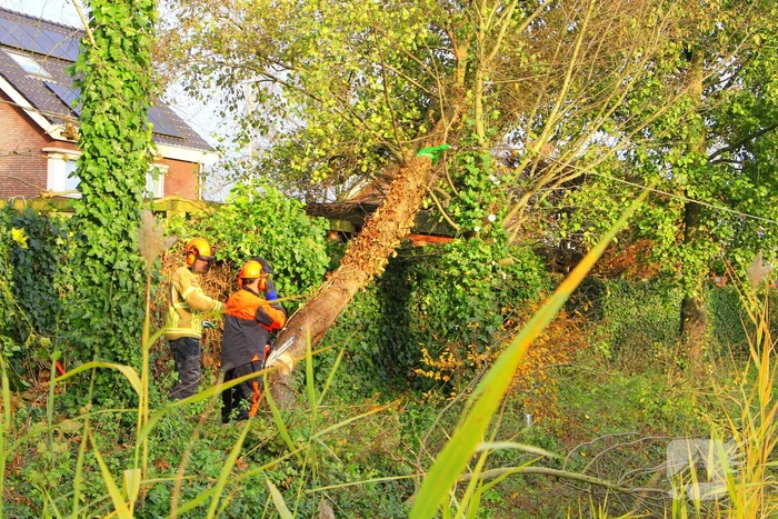 Omtrekken boom gaat verkeerd en valt op pergola