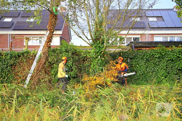 Omtrekken boom gaat verkeerd en valt op pergola