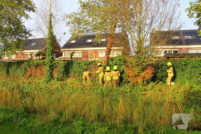 Omtrekken boom gaat verkeerd en valt op pergola