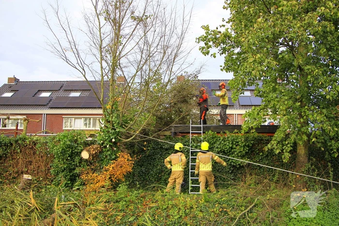 Omtrekken boom gaat verkeerd en valt op pergola