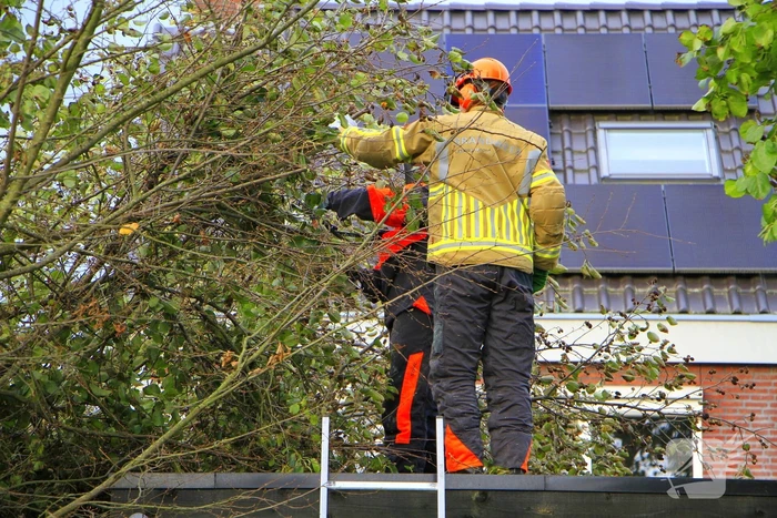 Omtrekken boom gaat verkeerd en valt op pergola