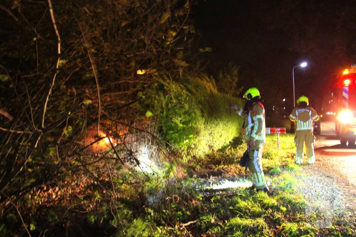 Buitenbrand snel onder controle
