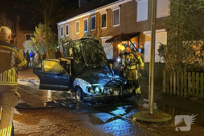 Auto total-loss door brand
