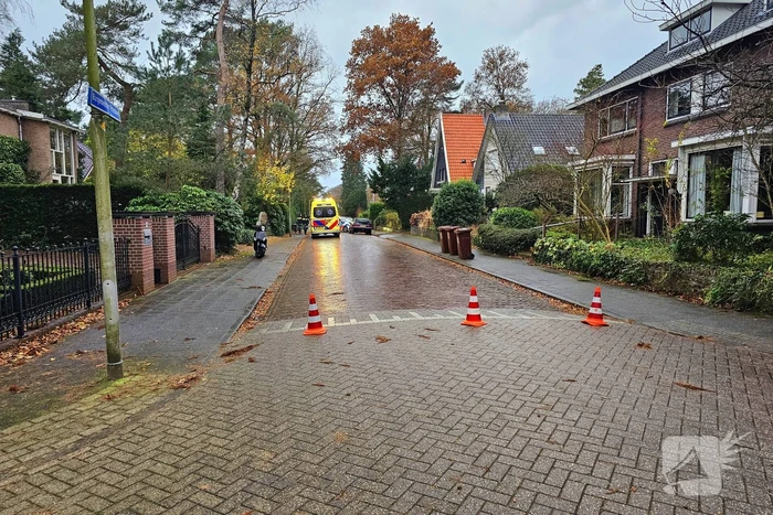 Fietser ten val door overstekende hond