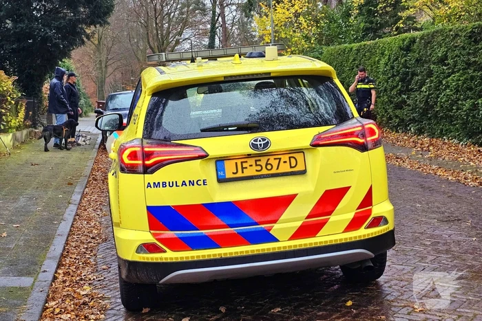 Fietser ten val door overstekende hond