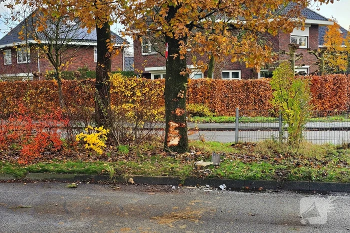 Automobilist knalt tegen boom