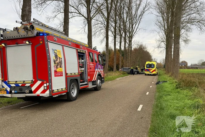 Bestuurder gewond bij botsing tegen boom