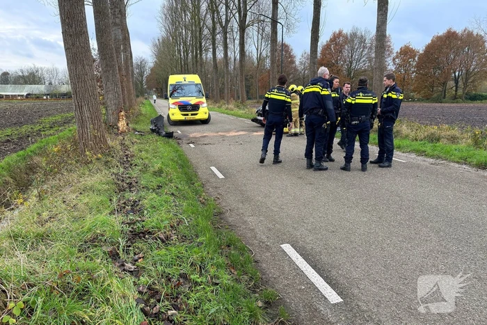Bestuurder gewond bij botsing tegen boom