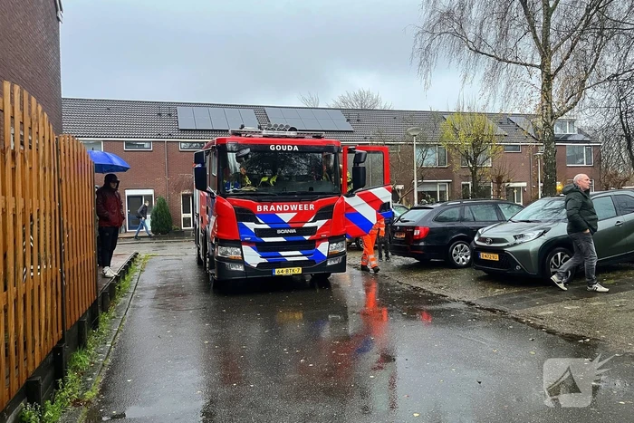 Kleine boom valt op personenauto