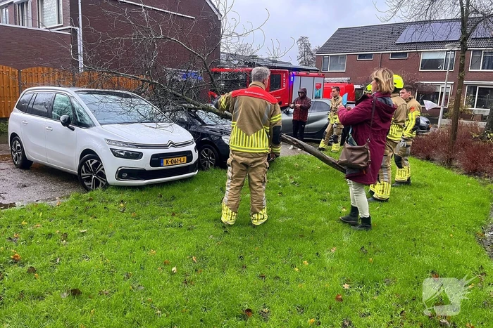 Kleine boom valt op personenauto