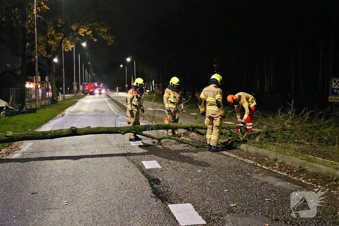 Brandweer zaagt over weg hangende boom om