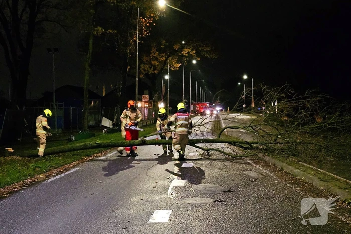 Brandweer zaagt over weg hangende boom om