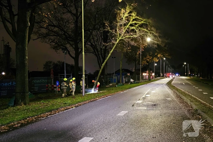 Brandweer zaagt over weg hangende boom om