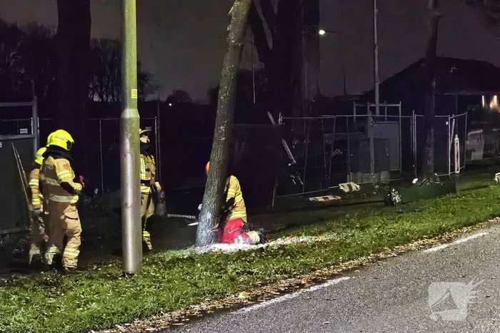 Brandweer zaagt over weg hangende boom om