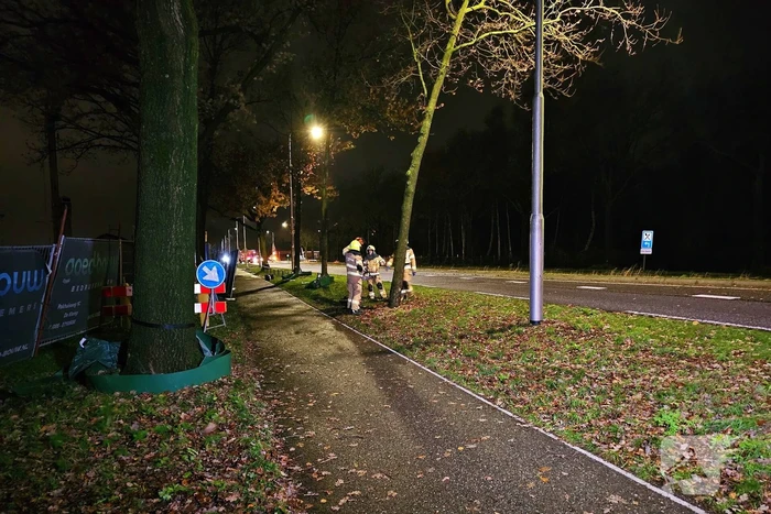 Brandweer zaagt over weg hangende boom om