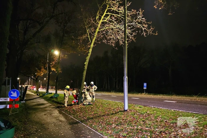 Brandweer zaagt over weg hangende boom om