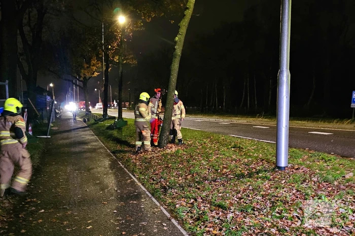 Brandweer zaagt over weg hangende boom om