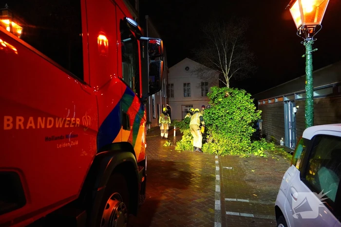 Boom naast woonboot waait om