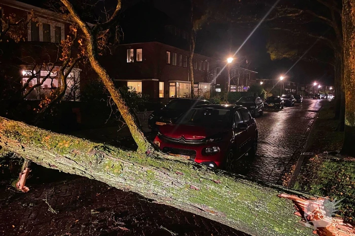 Drie bomen omgewaaid tijdens storm: aanzienlijke schade en afgesloten straat