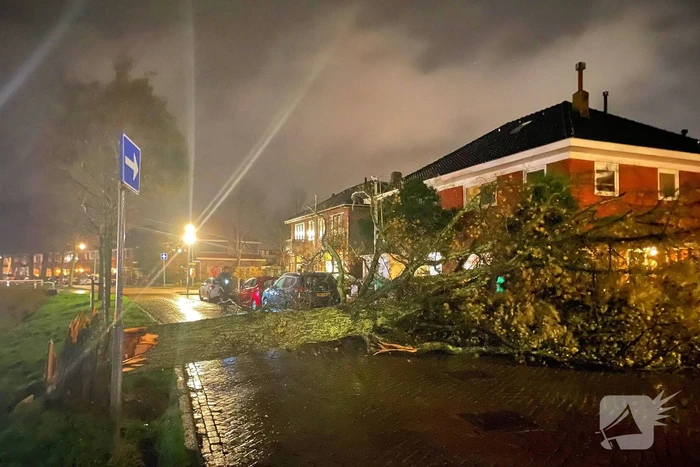 Drie bomen omgewaaid tijdens storm: aanzienlijke schade en afgesloten straat