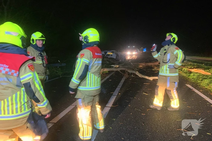 Auto crasht op omgevallen boom tijdens storm