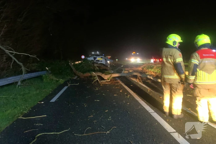 Auto crasht op omgevallen boom tijdens storm