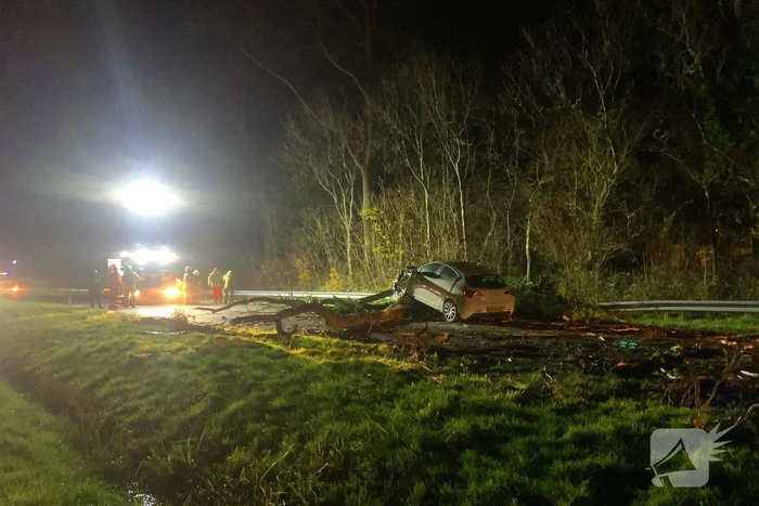 Auto crasht op omgevallen boom tijdens storm