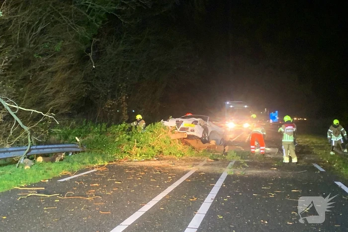 Auto crasht op omgevallen boom tijdens storm