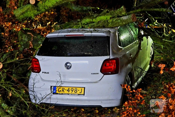 Auto bedolven onder boom, brandweer staakt zaagwerkzaamheden