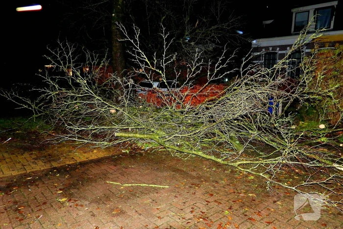 Auto bedolven onder boom, brandweer staakt zaagwerkzaamheden