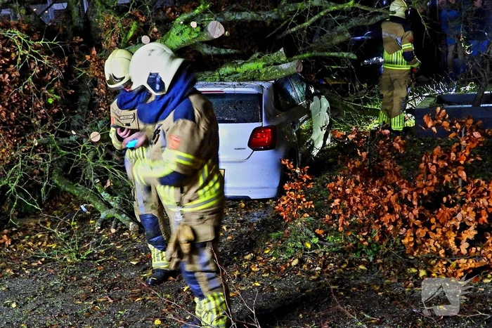 Auto bedolven onder boom, brandweer staakt zaagwerkzaamheden