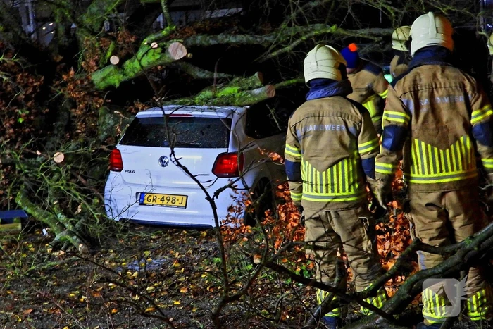 Auto bedolven onder boom, brandweer staakt zaagwerkzaamheden