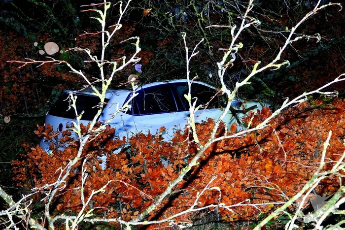 Auto bedolven onder boom, brandweer staakt zaagwerkzaamheden
