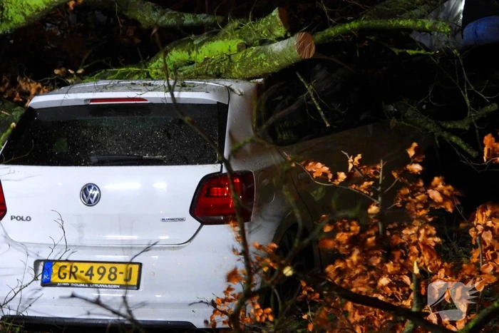 Auto bedolven onder boom, brandweer staakt zaagwerkzaamheden