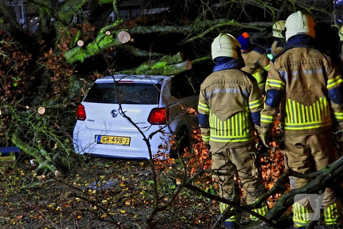 Auto bedolven onder boom, brandweer staakt zaagwerkzaamheden