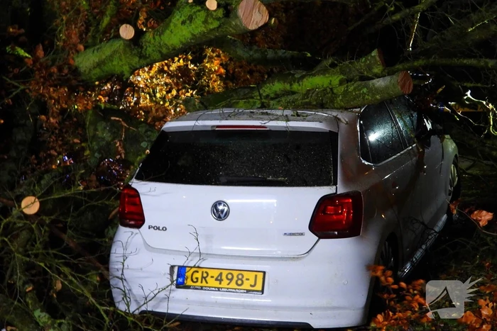 Auto bedolven onder boom, brandweer staakt zaagwerkzaamheden