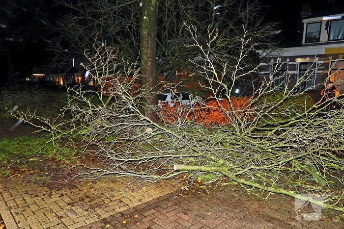 Auto bedolven onder boom, brandweer staakt zaagwerkzaamheden