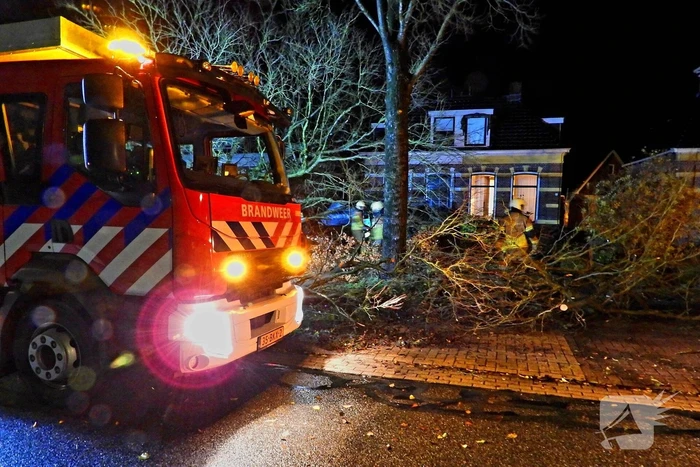 Auto bedolven onder boom, brandweer staakt zaagwerkzaamheden