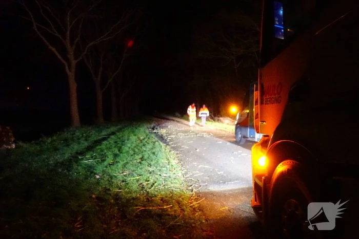 Auto komt vast te zitten tussen omgevallen bomen