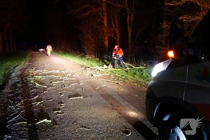 Auto komt vast te zitten tussen omgevallen bomen