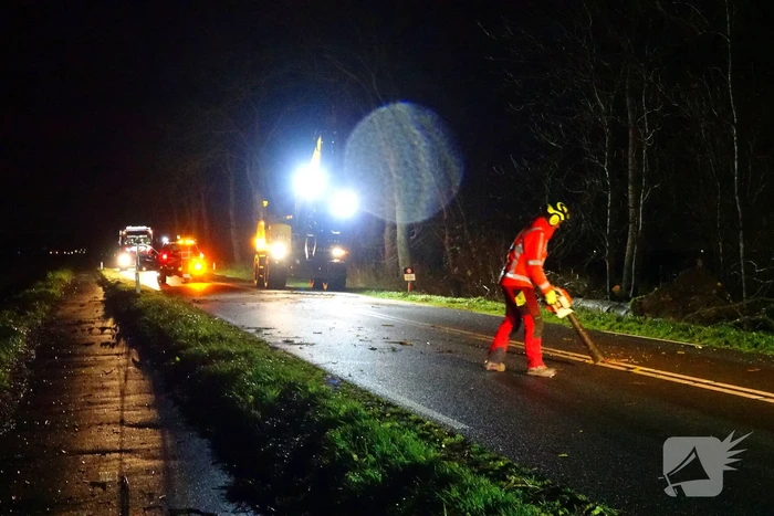 Auto komt vast te zitten tussen omgevallen bomen