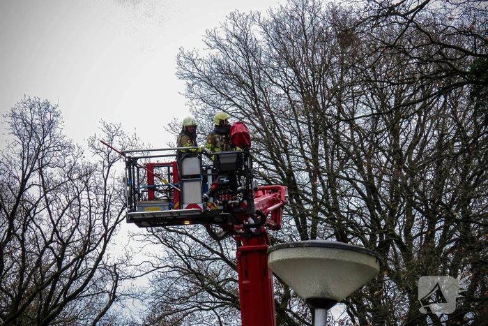 nieuws kisveldbrink enschede
