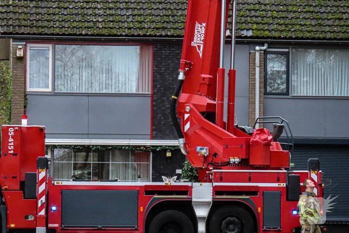 Brandweer assisteert bij kat in de boom