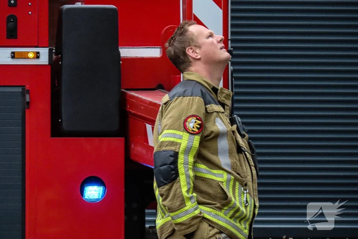 Brandweer assisteert bij kat in de boom