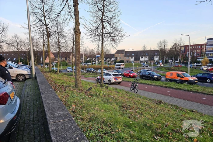 Veel politie op de been voor Turkse bruiloft