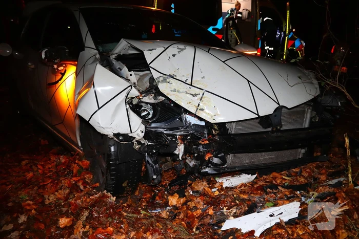 Automobilist klapt op boom