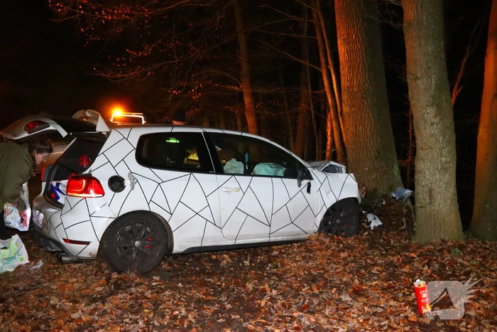 Automobilist klapt op boom