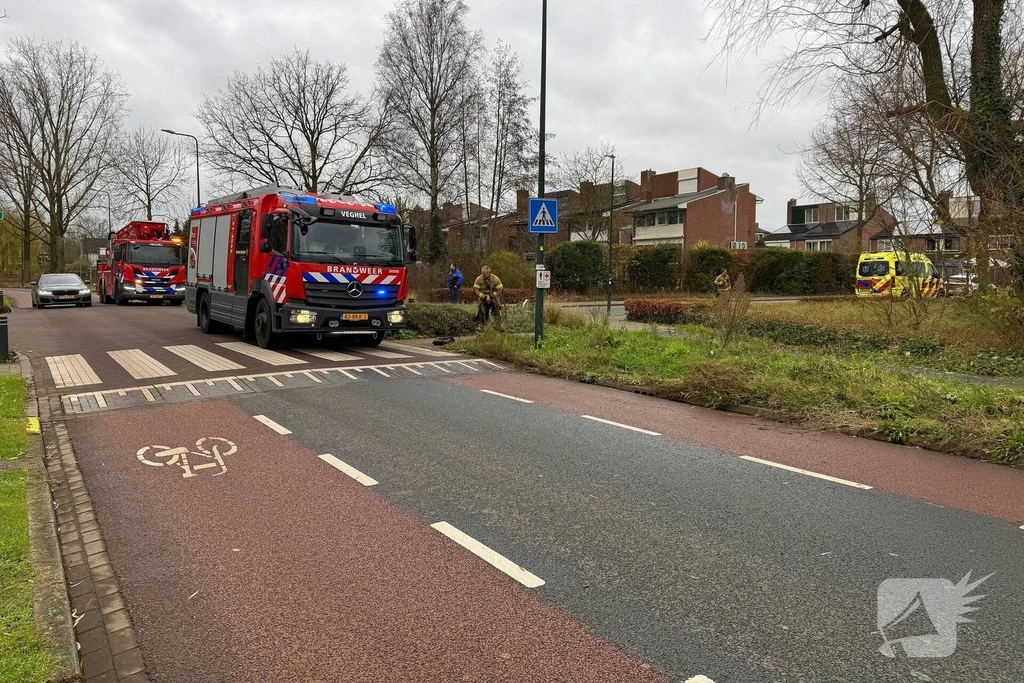 De Langedonk Nieuws Veghel 