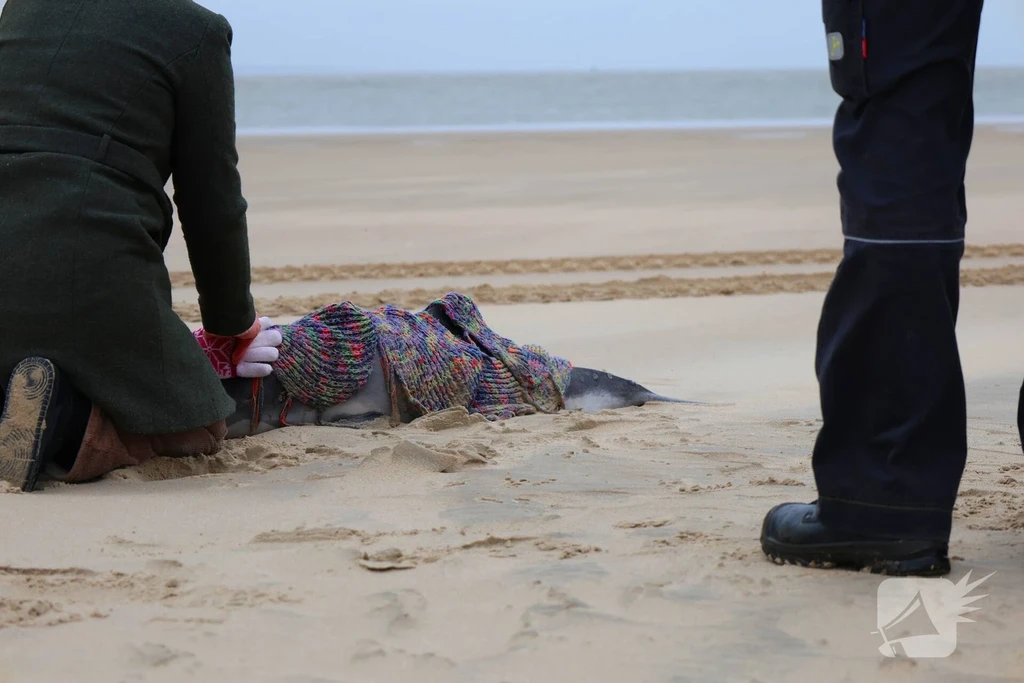 Fortweg 112 nieuws Vlieland 